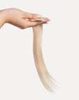 Euphoria Volumizer Crown & Root Volume for Fine, Thinning Hair